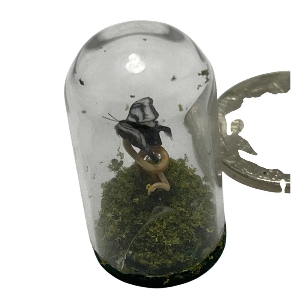 Unbranded Miniature‎ Butterfly Glass Dome Cloche Pale Swallowtail Tiny Diorama